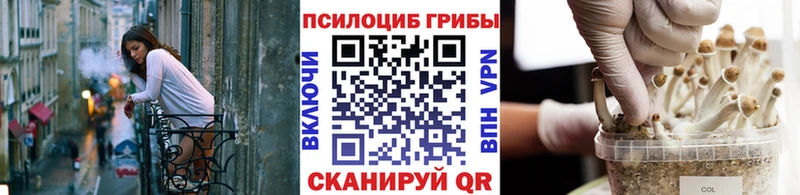 Псилоцибиновые грибы мухоморы  Купить где  Канск 